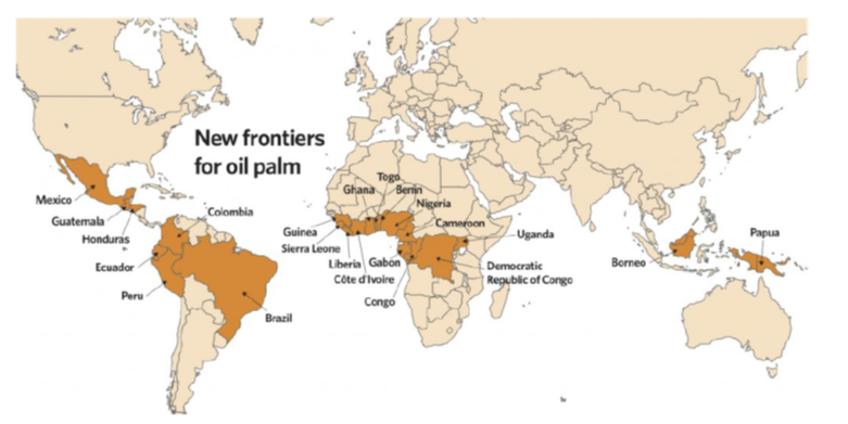 Nuevas fronteras de expansión del cultivo de palma de aceite